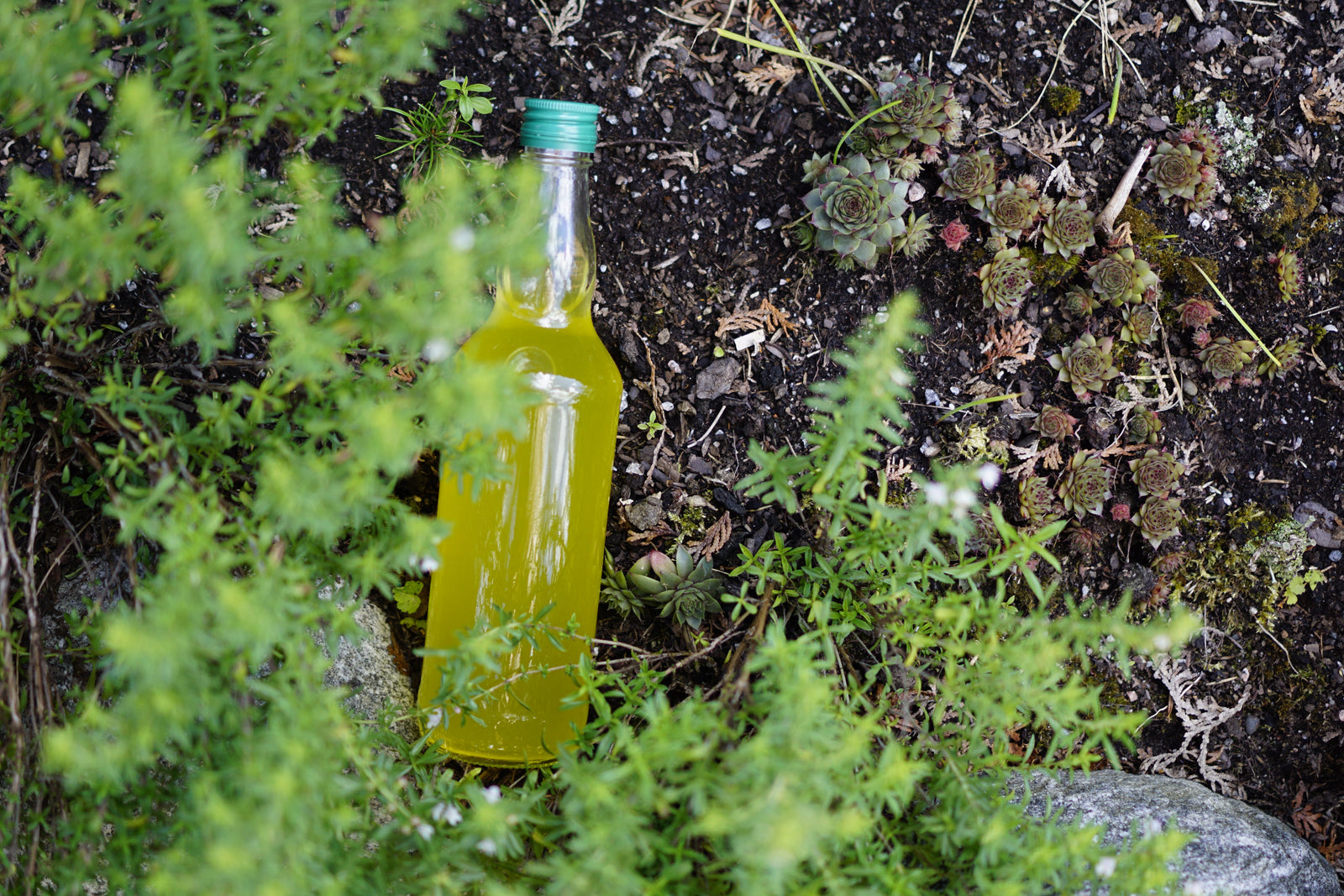 Glasflaska Monopol 500 ml med skruvkork