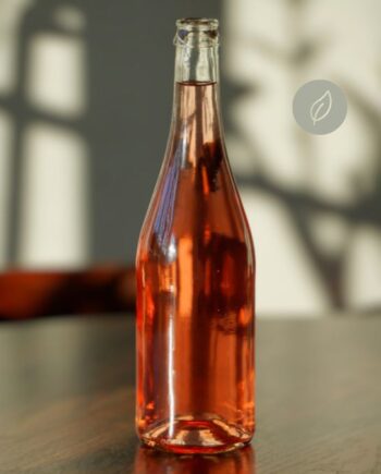 Champagneflaska för must, vin, cider 750 ml Klar